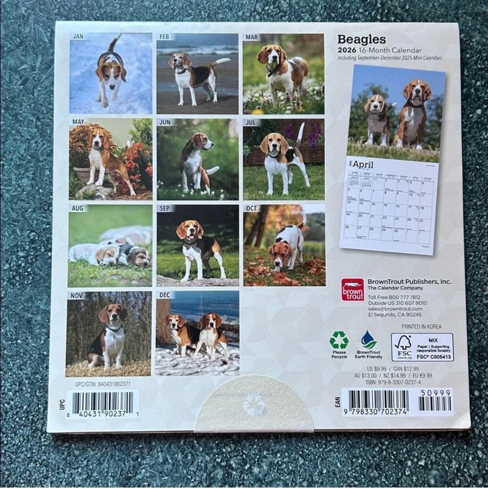 Beagles 2026 Calendar - NEW